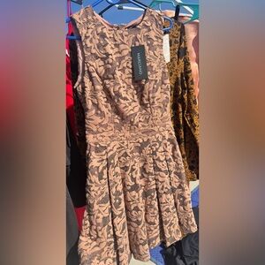 Elegant Lace Sleeveless Dress in Blush Pink